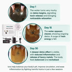 Pack of 02 - Ionic Foot Spa